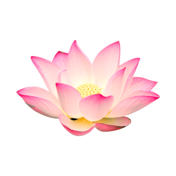 Test image Flowershow logo